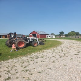 p-farm-6-standard.jpg