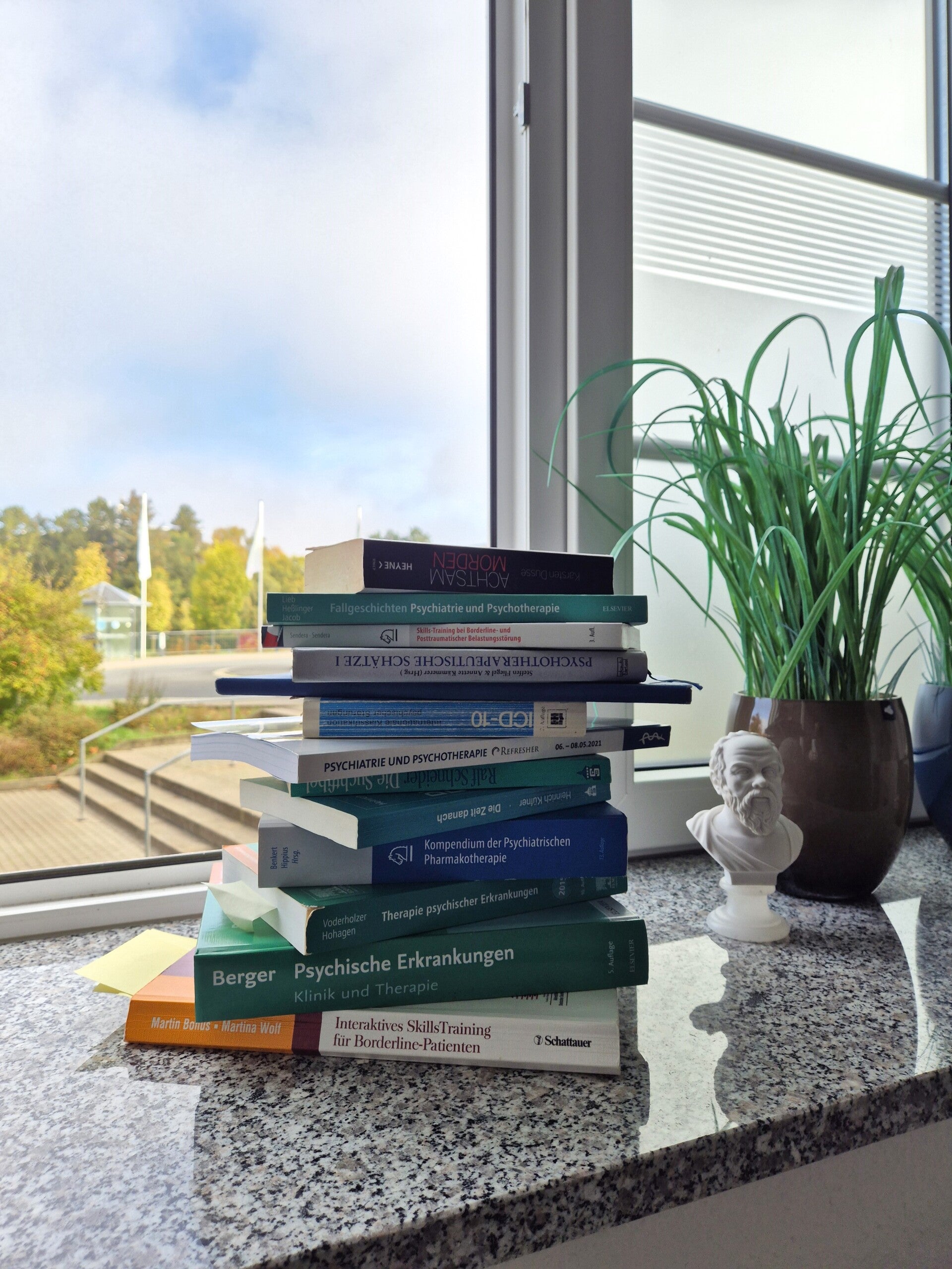 Therapieangebot Dr. (Univ. Leuven) Imke Geest