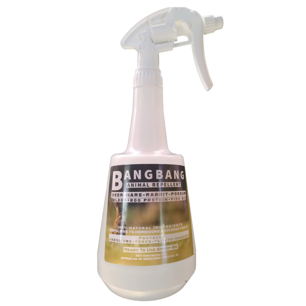 BANGBANG 1L Premixed Ready-To-Use