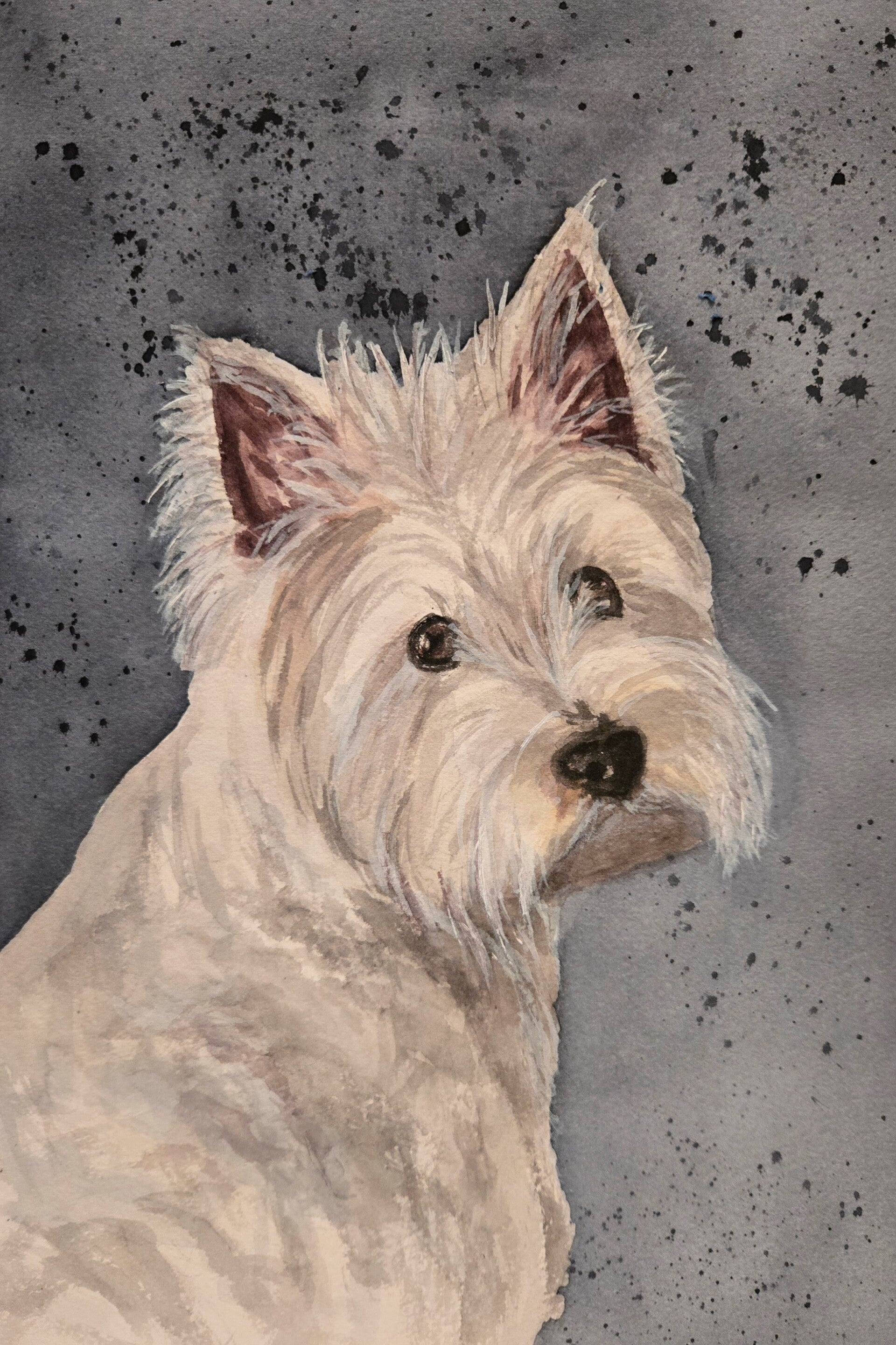 aquarelle-chihuahua-filorea