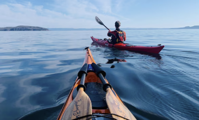 woodships bateaux canoe kayak aviron fabrication bois resine materiau composites artisanale