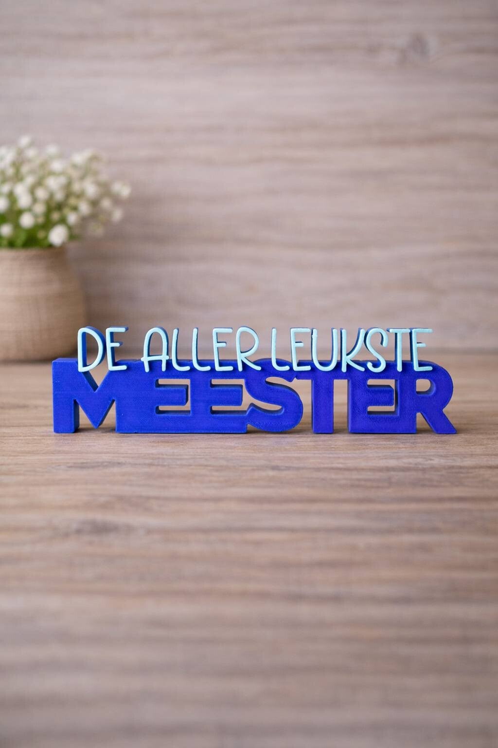 De allerleukste meester