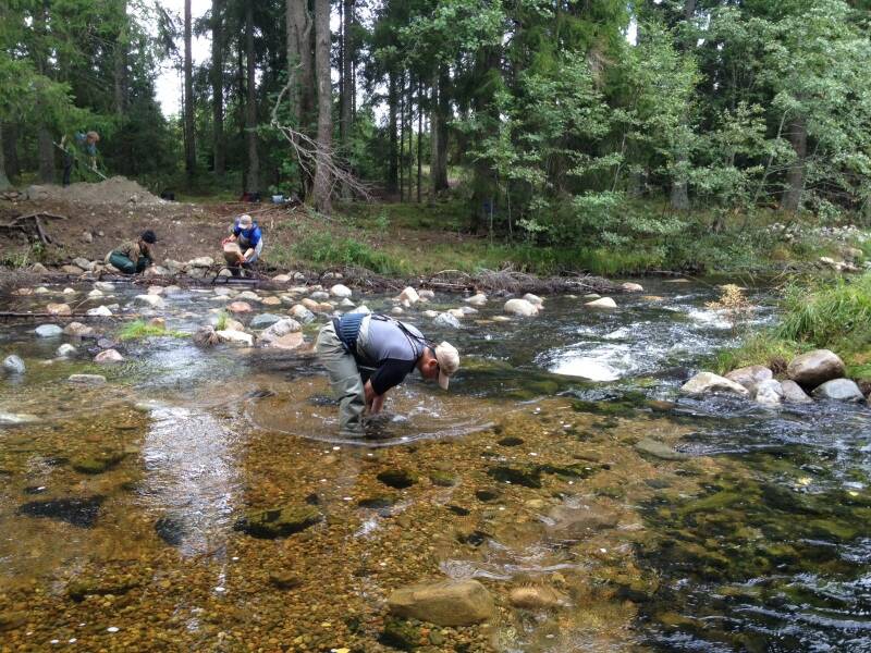 BIotopvård i Lumsån 