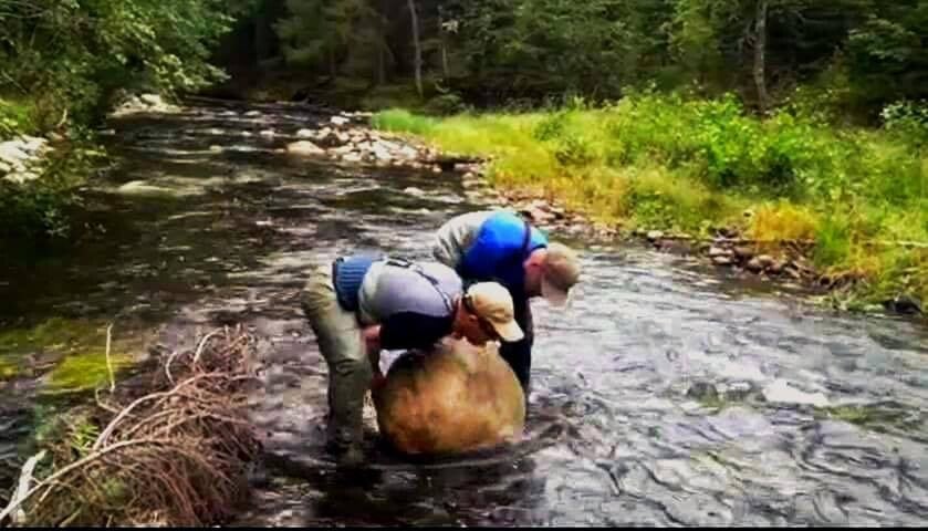 Sportfiske För Morgondagen biotopvårdar i Lumsån
