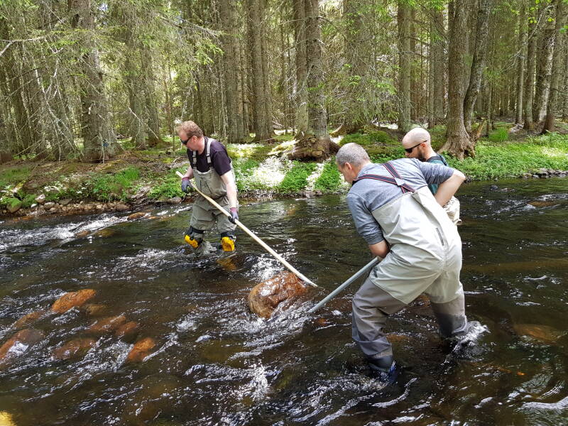 Biotopvård i Lumsån m Hartijokiverktyg