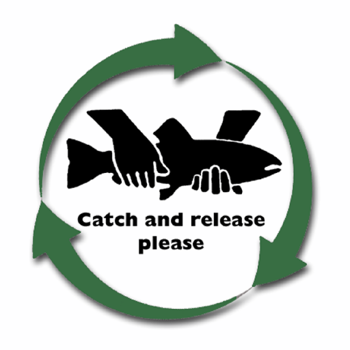 Sportfiske För Morgondagens Catch and releasemärke 