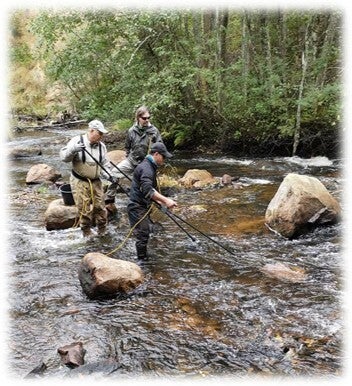 Sporfiske För Morgondagen SFM elfiskar i Hedströmmen vid Nedre Borgfors