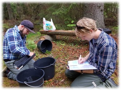 Elfiske i Hedströmmen vid Nedre Borgfors
