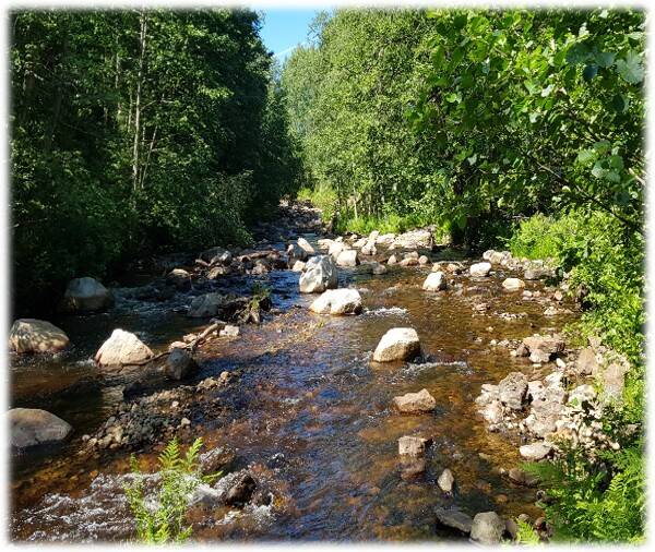 Nedre Borgfors, Hedströmmen innan restaurering 