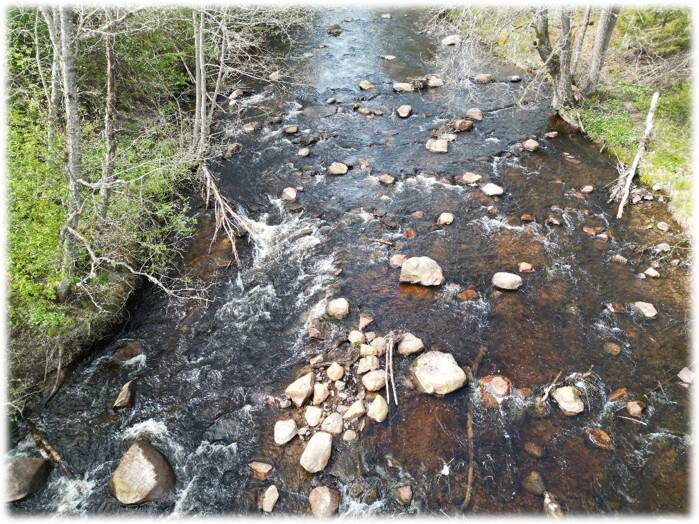 Nedre Borgfors, Hedströmmen innan restaurering 