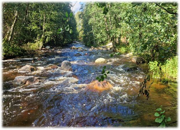 Nedre Borgfors, Hedströmmen efter restaurering 