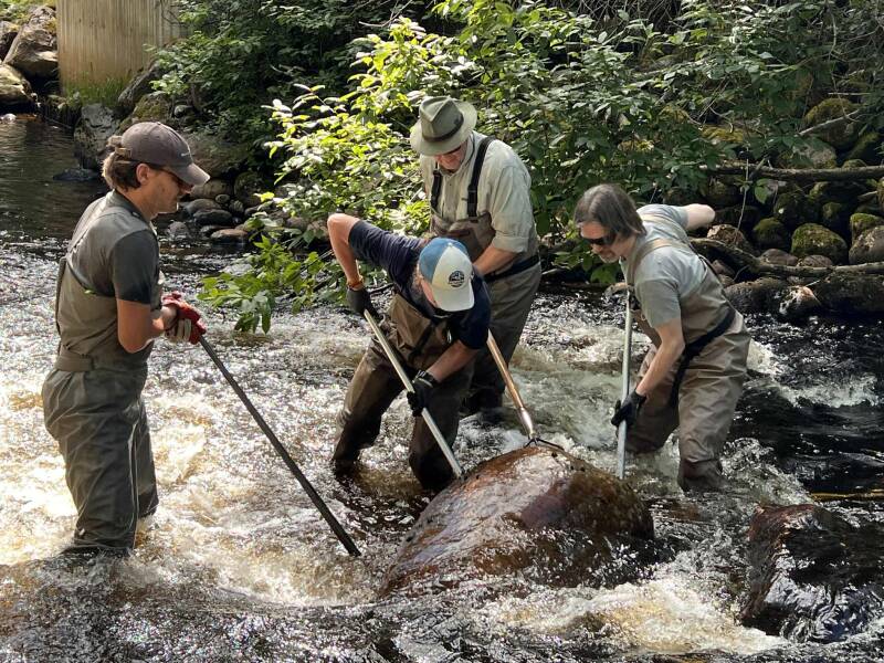 Fiskevård i strömmande vatten