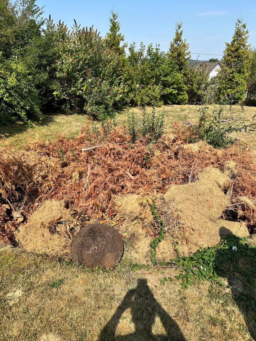 Vorher – Gartenfläche mit Pflanzenresten