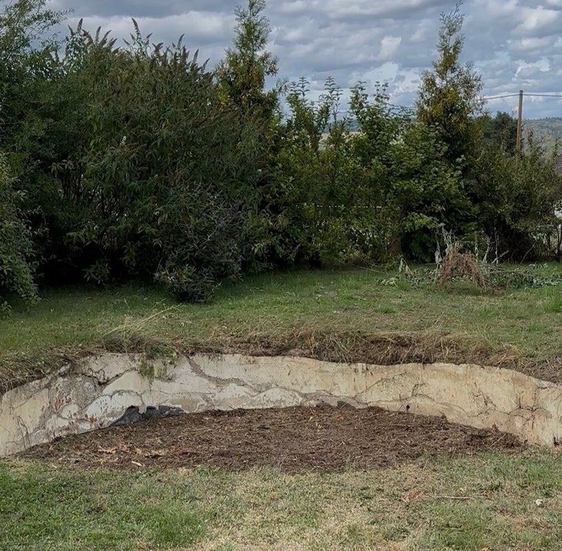Nachher – freigeräumte Gartenfläche