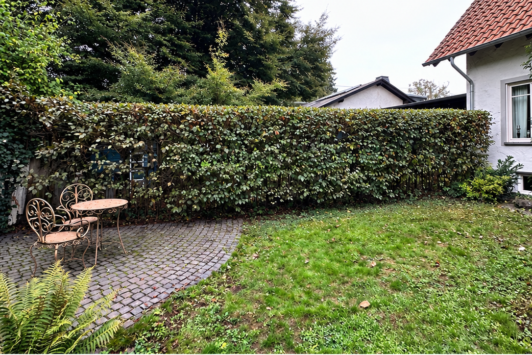 Nachher – freigeräumte Gartenfläche