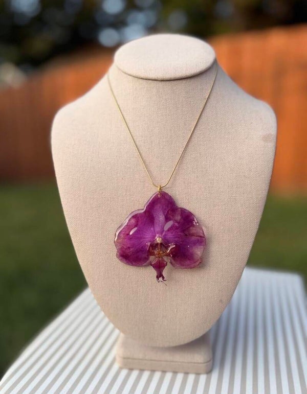 Purple beauty Orchid