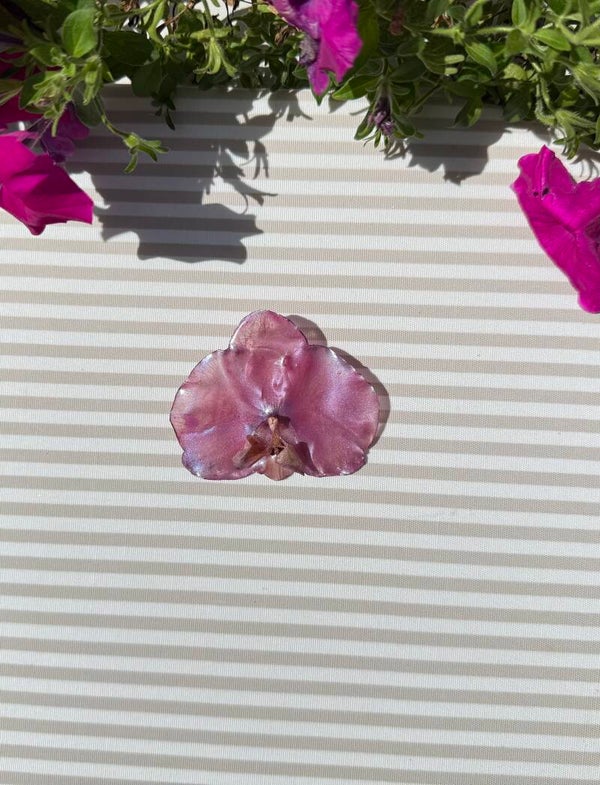 Brooch and Hairclip Orchid preserved in resin