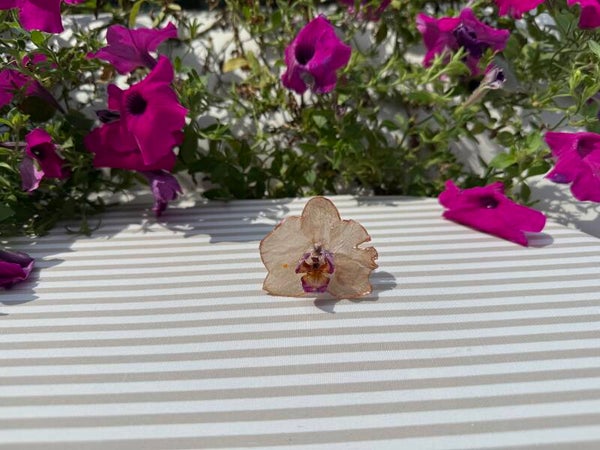 Real Orchid Adjustable Ring