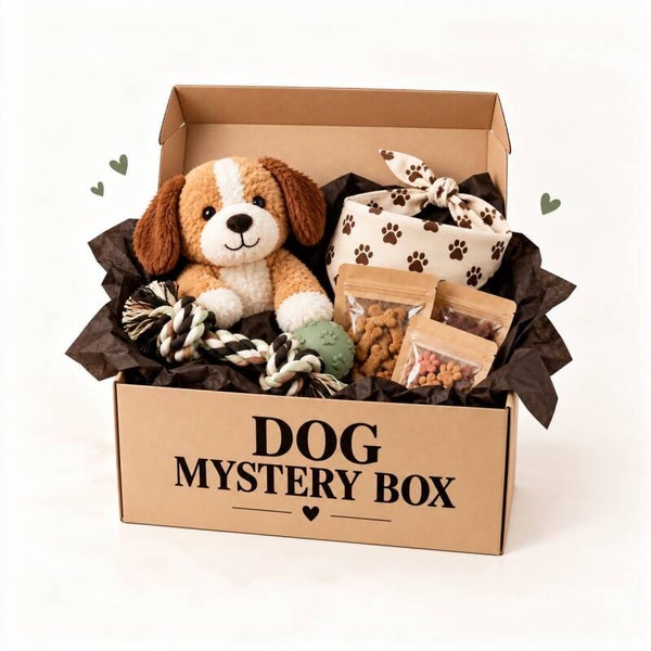 Dog Mystery Box