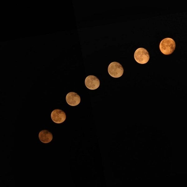 Moon Cycle Nutrition