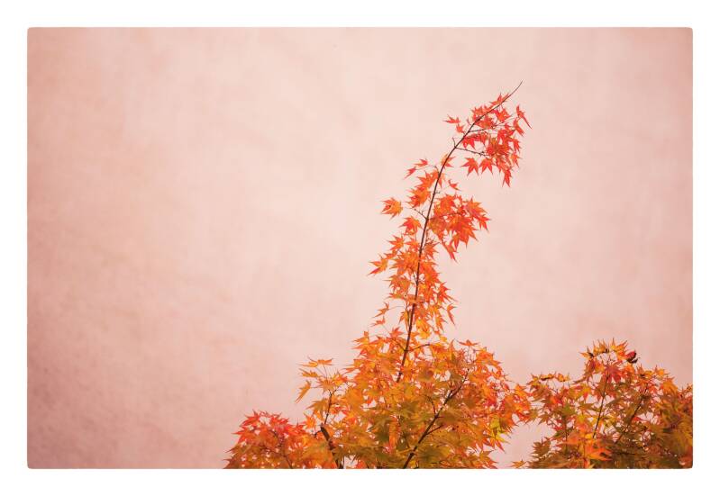 10-11-octobre-2020-diois-18-standard.jpg