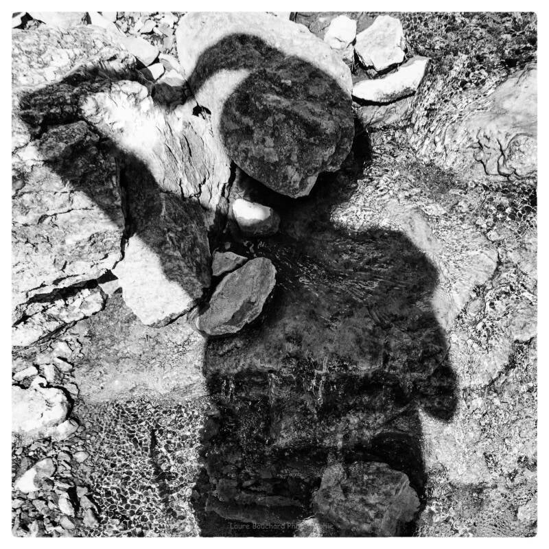 autoportrait-standard.jpg