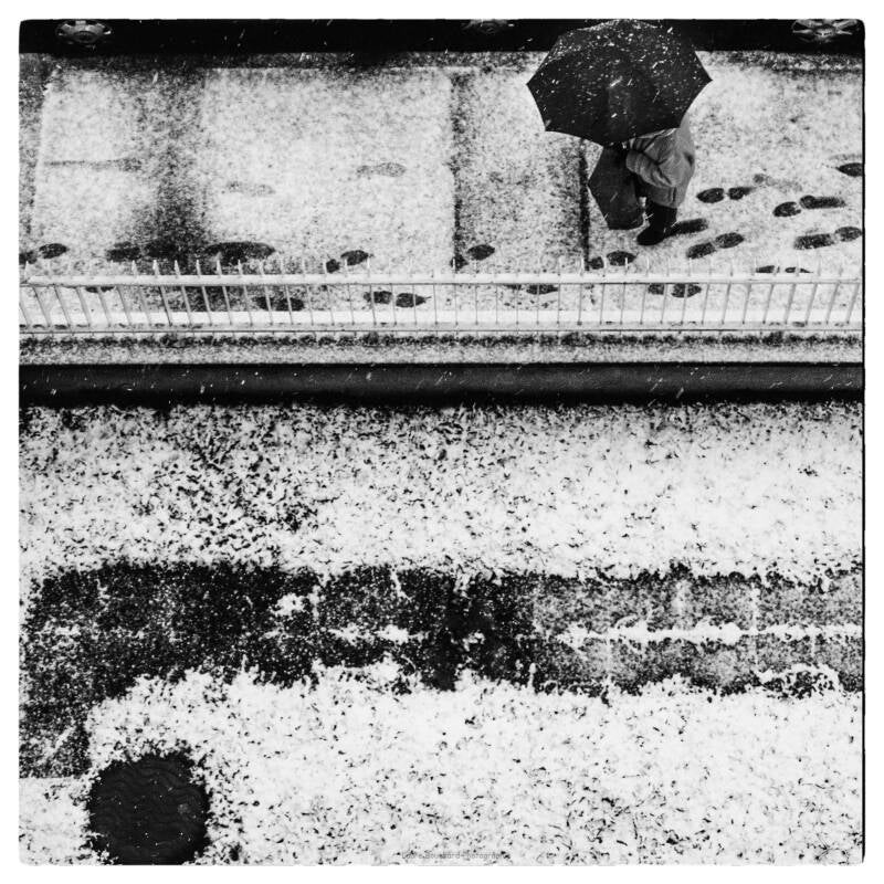 neige-4-standard.jpg