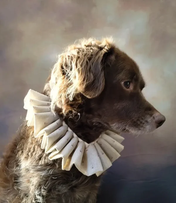 Custom Dog Ruff Collar for Photography