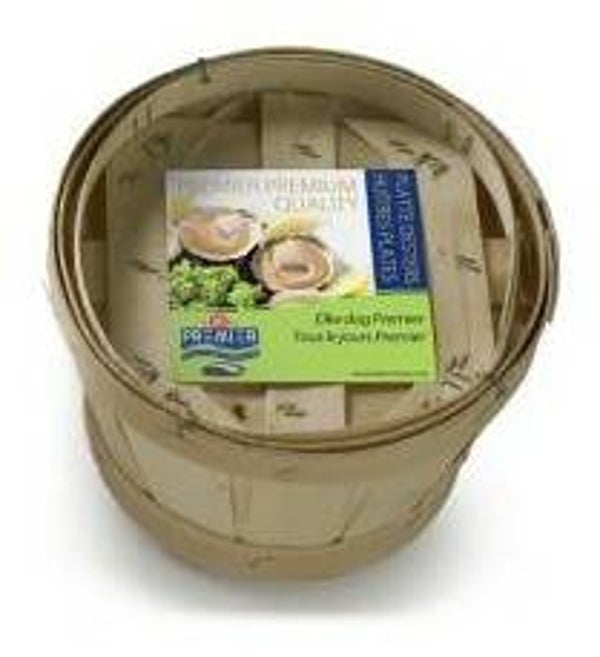 Platte Zeeuwse oesters 4/0 | Schaal- schelpdieren