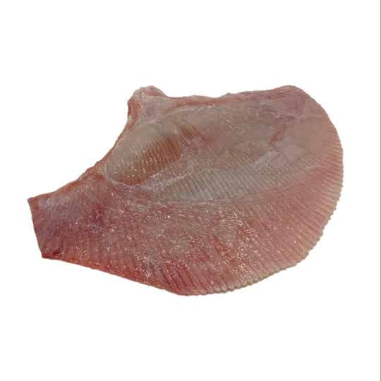 Vis Rogg Rog | Online Rog bestellen | Verse vis | Visversa