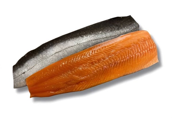 Beekridder filet arctic char | Verse vis