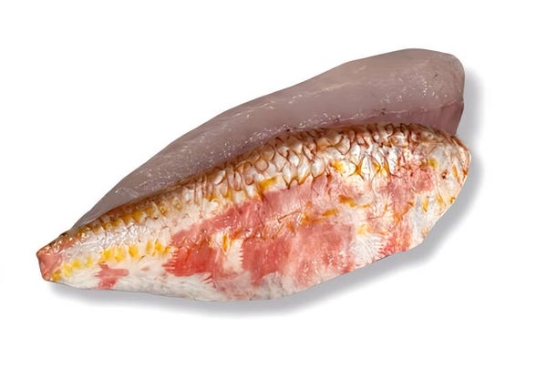 Mulfilet uit mul 2  40-60 gram| Verse vis