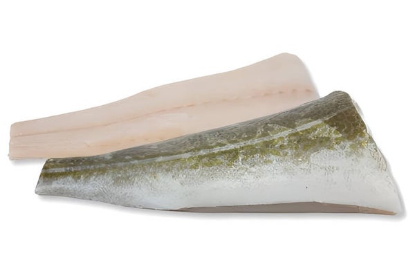 Kabeljauwstaart | Verse vis