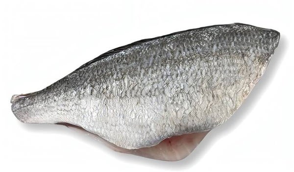 Dorade filet groot 2 stuks | Verse vis