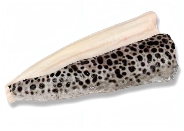Tijgerzeewolf filet | Verse vis