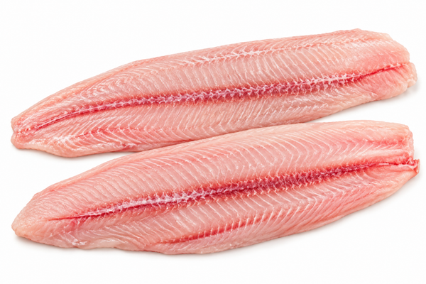 Meerval filet | Verse vis