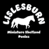 Lislesburn Miniature Shetland Ponies