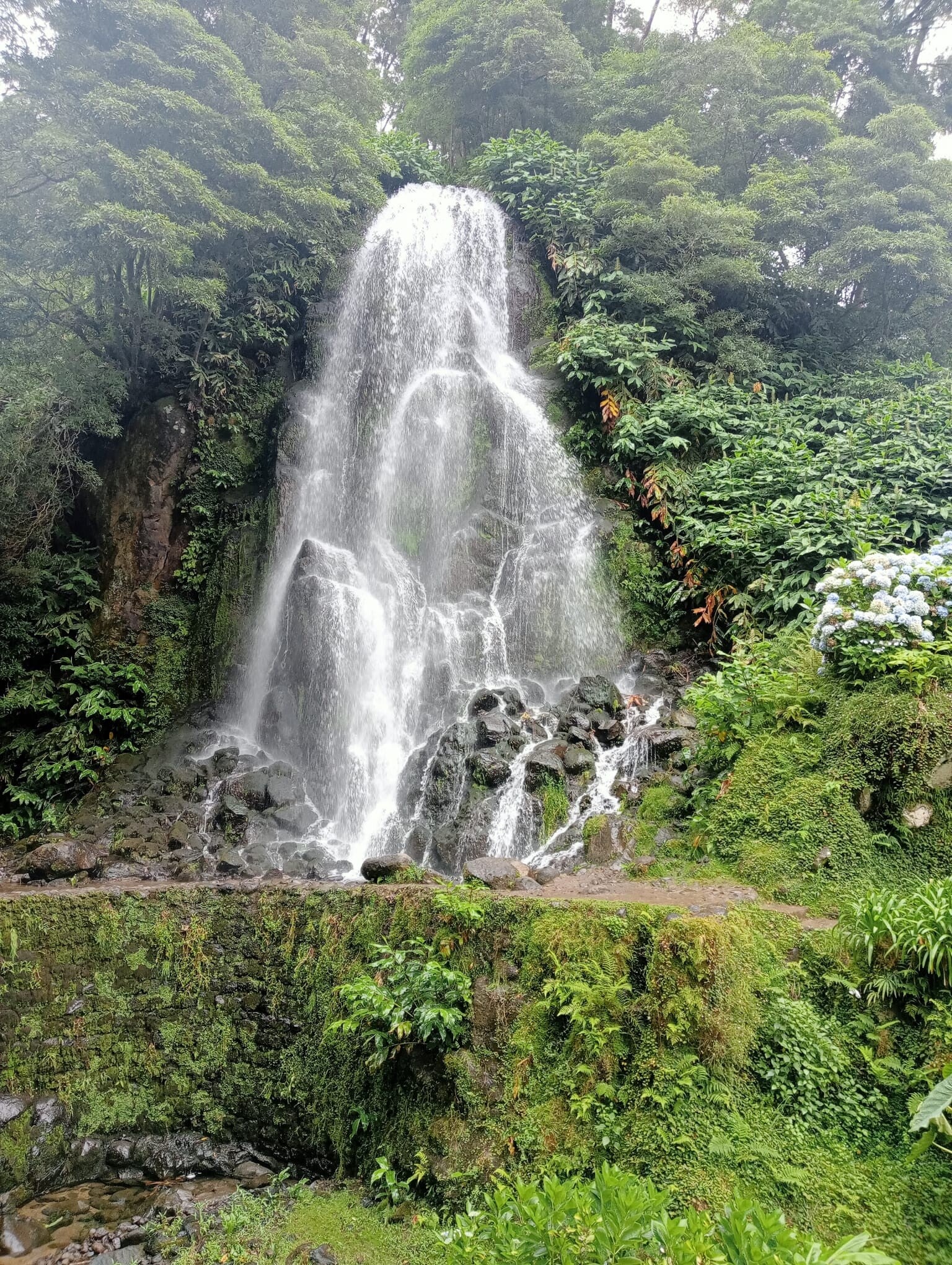 img-20260804-wa0022-standard.jpg