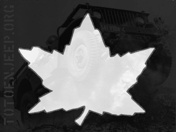 FEUILLE TYPE 2