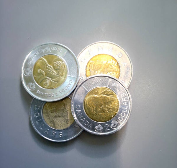 toonies11