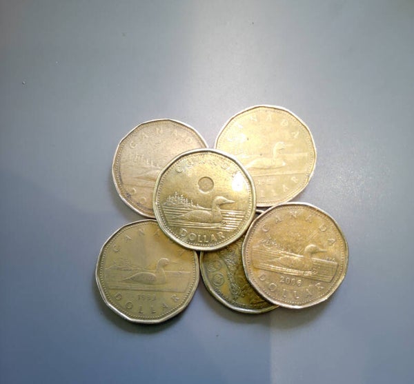 loonies1