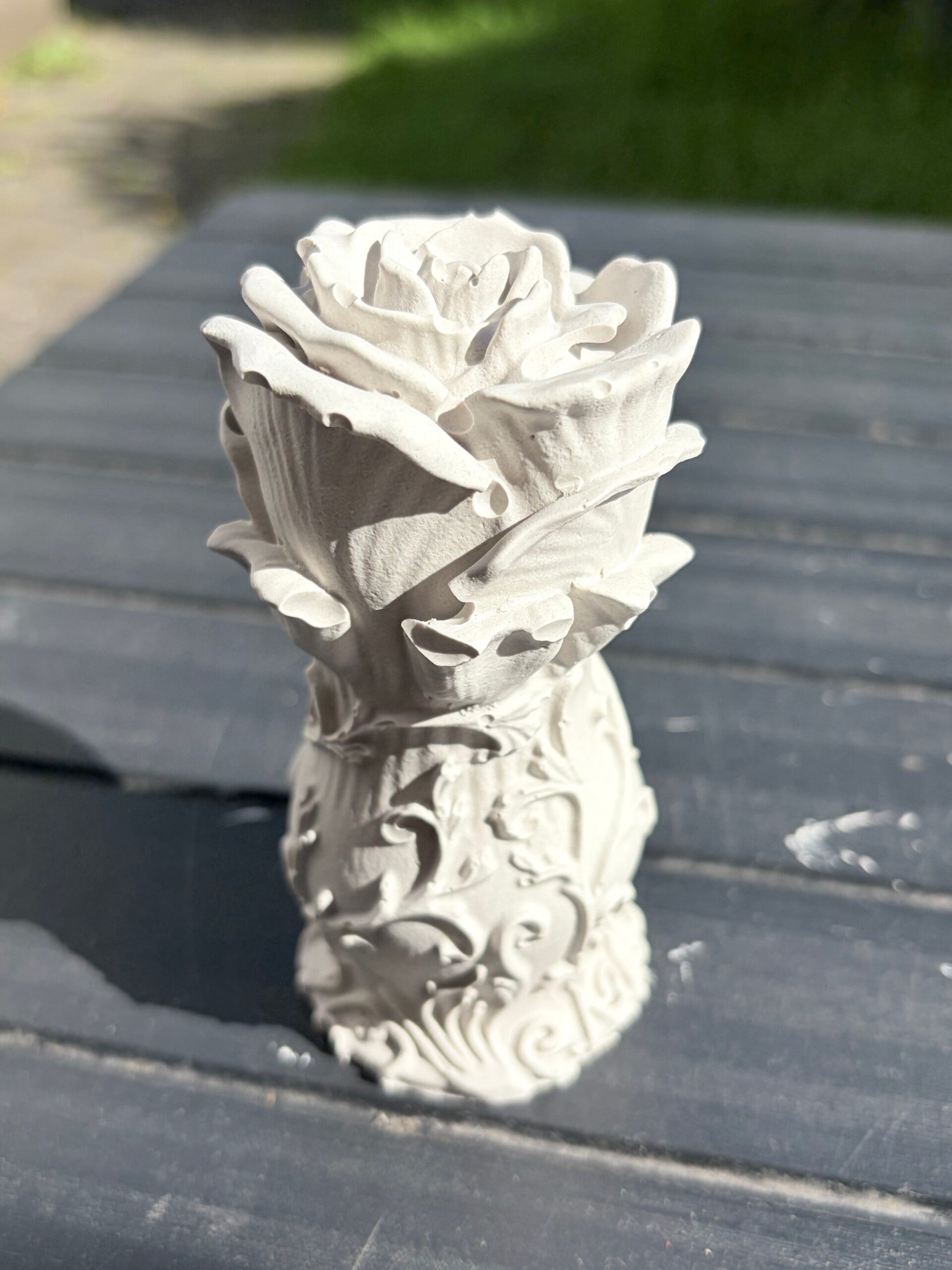 Wunderschöne Rose
