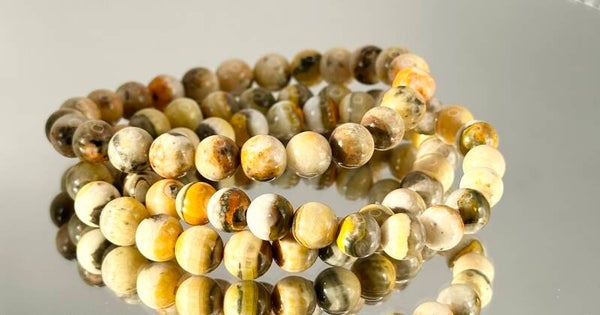 AA+ Bumblebee Jasper