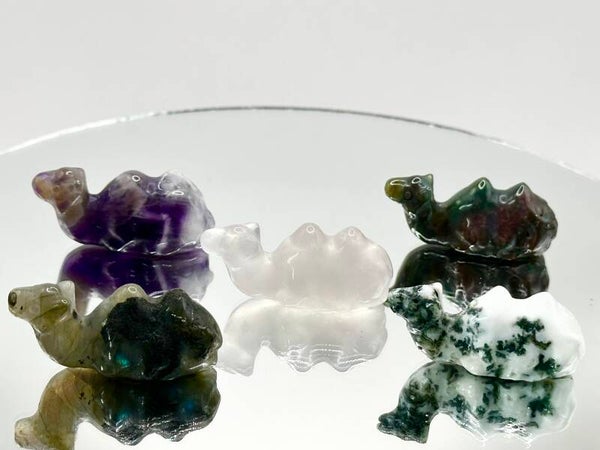 Crystal Camels