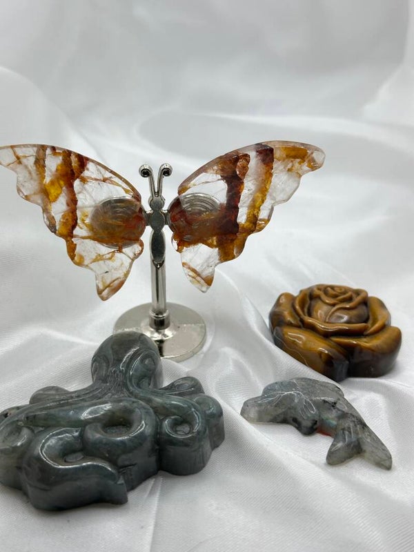 Clare Plumtree