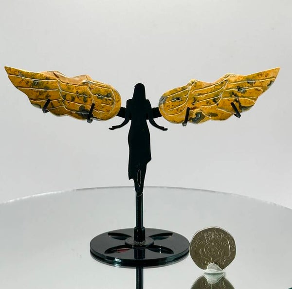 Bumblebee Jasper Angel Wings