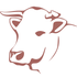 Cattle Agistment Australia