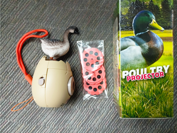 Projektor Rzutnik Wielofunkcyjny Różne Obrazki Efekty Slajdy Farma Wzory