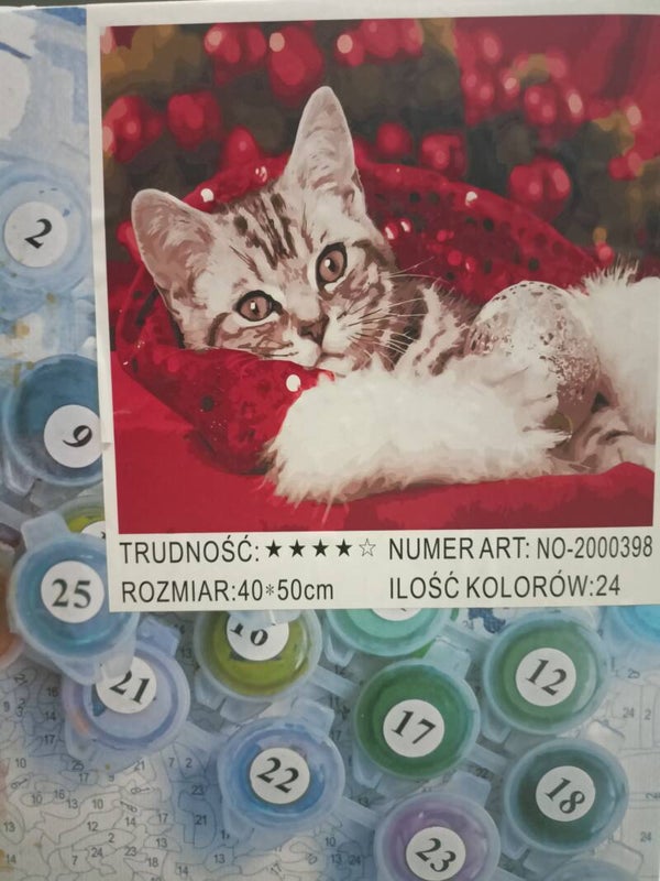 Malowanie po Numerach - Uroczy Kot