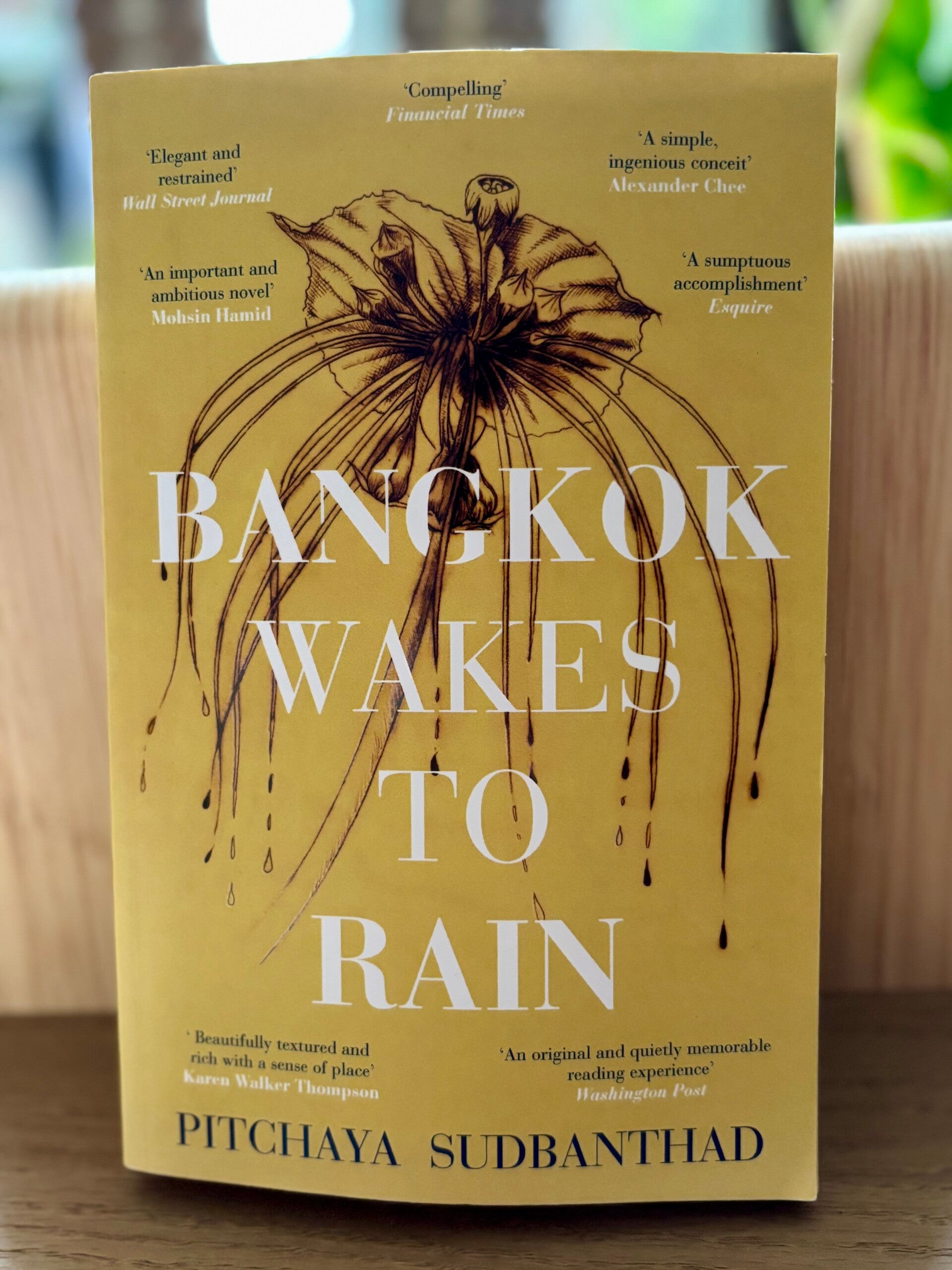 Bangkok wakes to rain - Pitchaya Sudbanthad